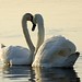 April Burd Photo 3