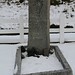 Ernest South Photo 2