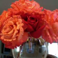 Robin Rasmussen Photo 33