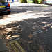 Brian Dodds Photo 9