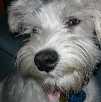 Janet Atchison Photo 10