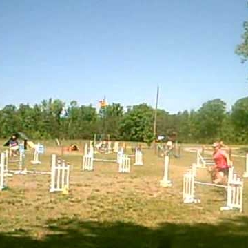 Stacy Reeves Photo 21