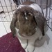Gloria Bunn Photo 3
