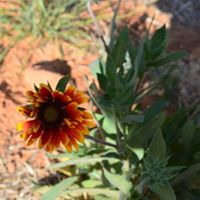 Julie Jessup Photo 28