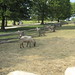 Vernon Rudolph Photo 9
