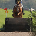 David Llewellyn Photo 16