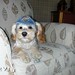 Debra Harley Photo 9