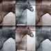 Susan Wolk Photo 10