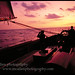 Dawn Goodwill Photo 4
