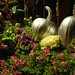 Rose Mills Photo 1