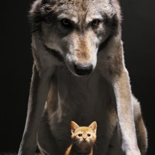 Shawna Swann Photo 4