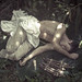 Forrest Tiffany Photo 3