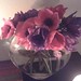 Tracy Flowers Photo 12