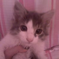 Tammy Epley Photo 1