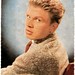 Roy Moll Photo 5