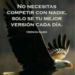 Rodolfo Zavala Photo 18