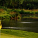 Tom Earl Photo 9