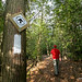 Bruce Lys Photo 8