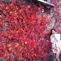 Anna Yu Photo 29