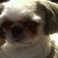 Vickie Gregg Photo 9