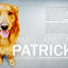 James Anselmo Photo 7