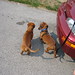 Jack Friend Photo 8