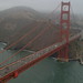 Fran Golden Photo 9