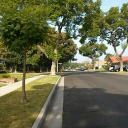 Steve Yoo Photo 22