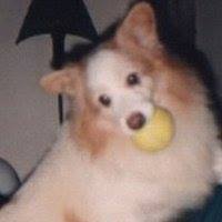 Ginger Heran Photo 4