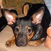 Ebony Small Photo 2