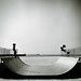 David Rampe Photo 4