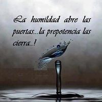 Raudel Castro Photo 5