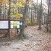 Marion Davis Photo 14