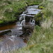 Tanner Beck Photo 8