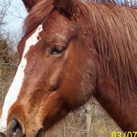 Lisa Salyer Photo 9