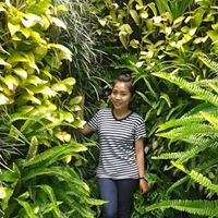 Ha Cam Photo 25