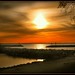 Donna Cannon Photo 5