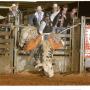 John Reece Photo 14