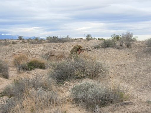 Ken Gillett Photo 11