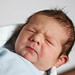 Matthew Bonham Photo 4