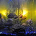 Bill Tank Photo 9