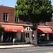 Shelley Forsythe Photo 3