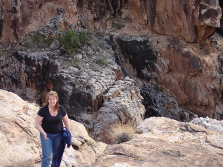 Michelle Dyer Photo 20