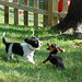 Felix Jenkins Photo 5