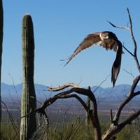 Jim Vollrath Photo 3