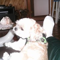 Penny Holden Photo 28