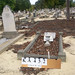 John Allard Photo 15