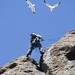 Brian Rappel Photo 9
