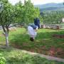 Petar Stefanovic Photo 11