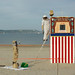 Mark Bees Photo 2